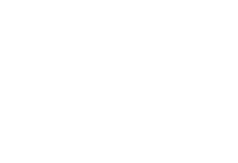 Madri logo